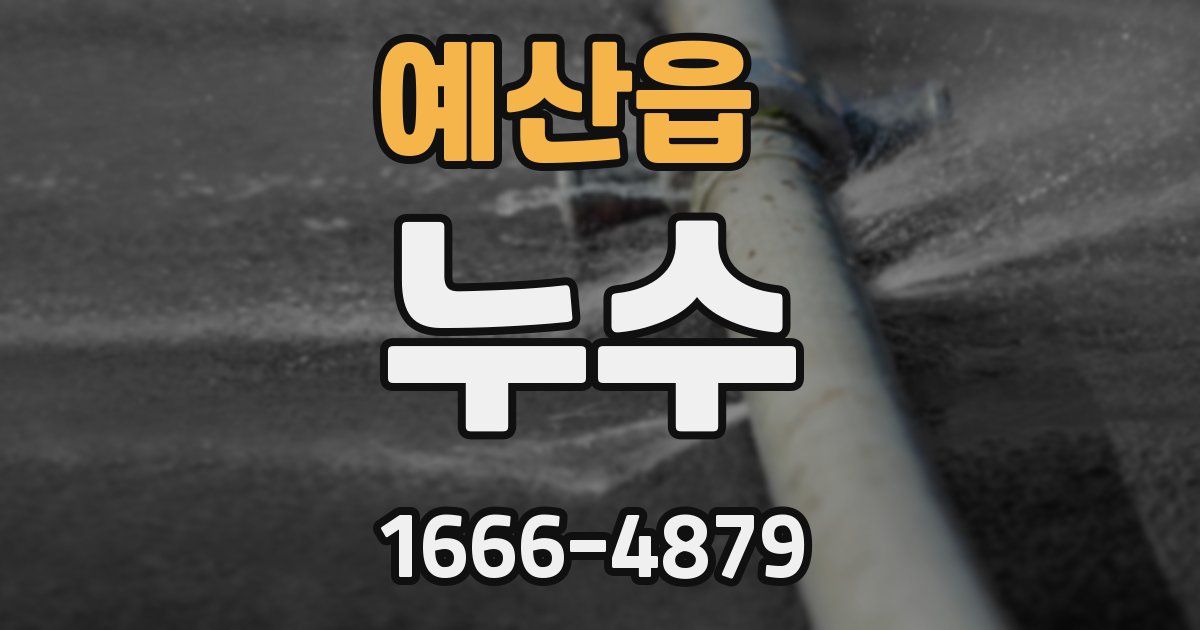 예산읍 누수