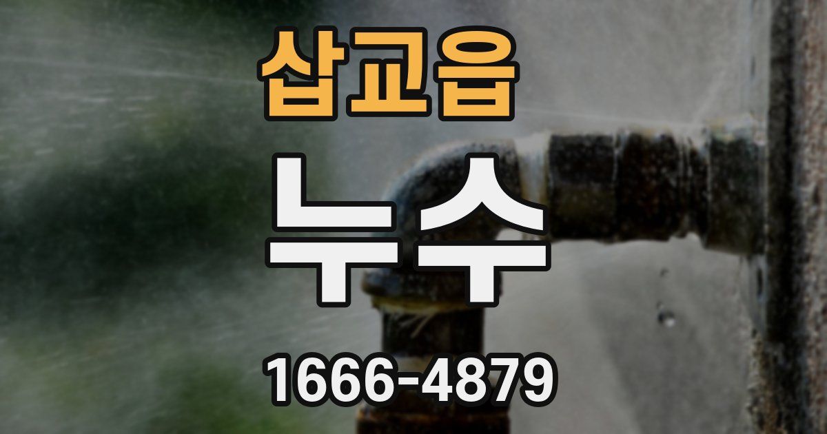 삽교읍 누수
