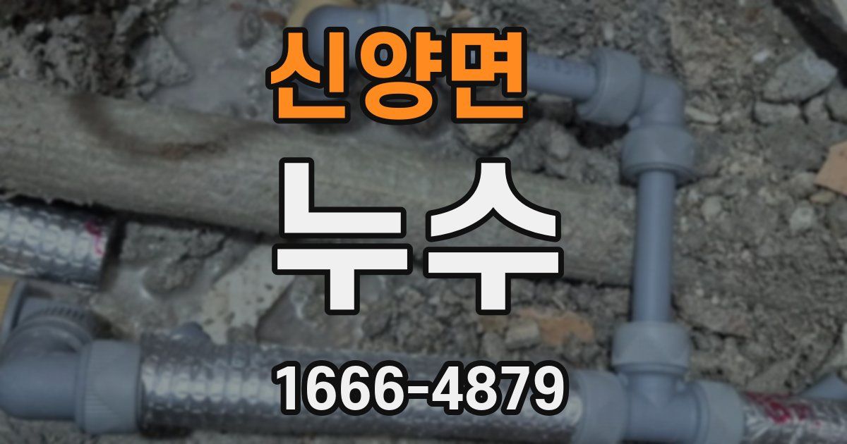 신양면 누수