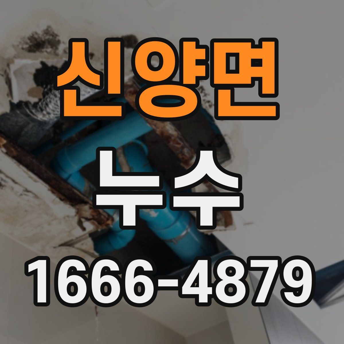 신양면 누수