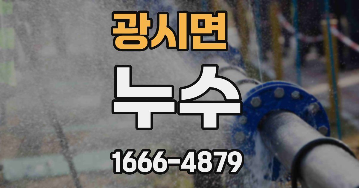 광시면 누수