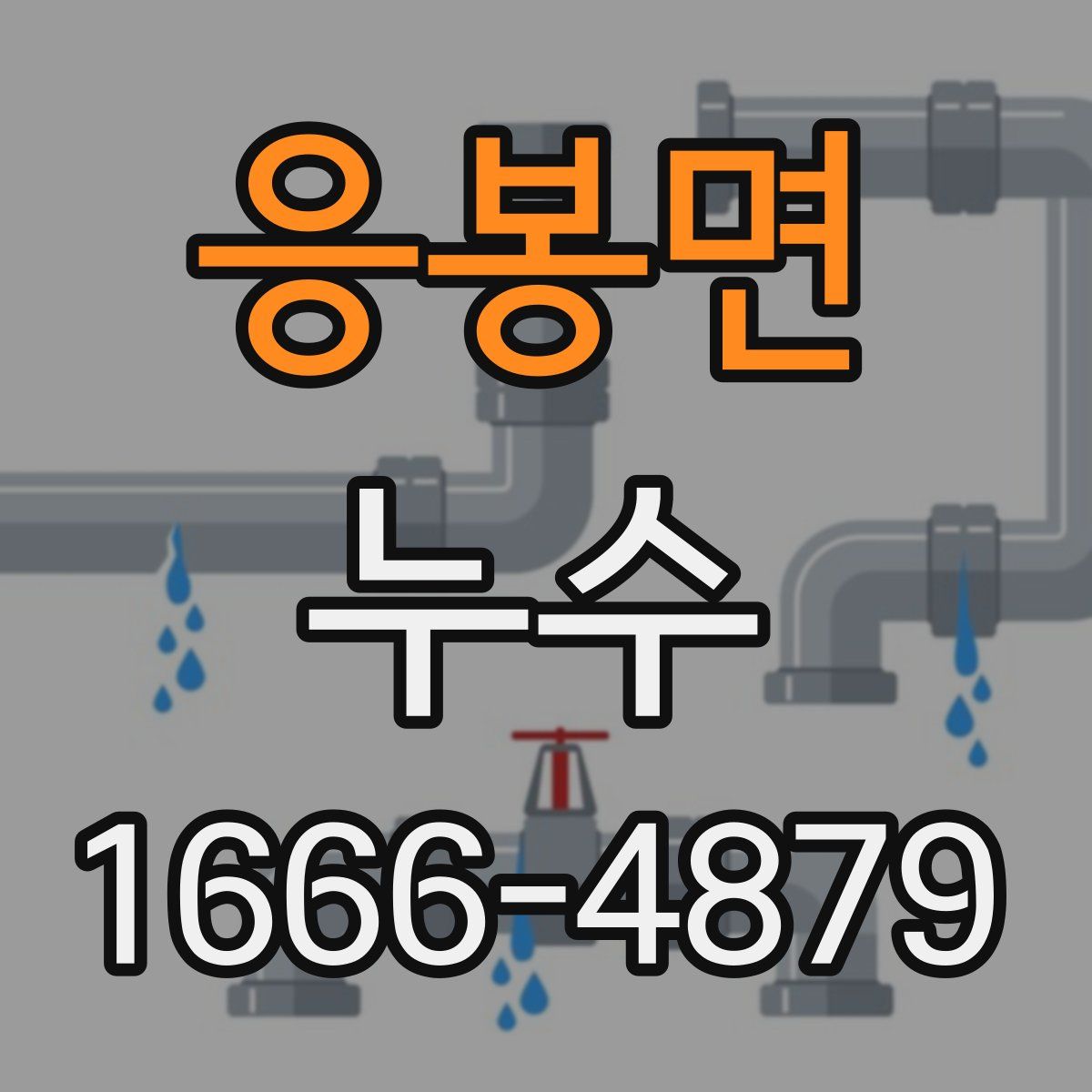 응봉면 누수