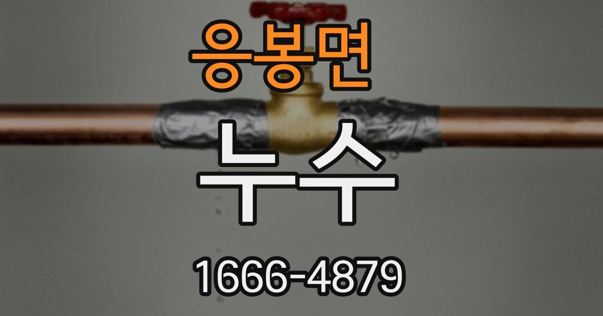 응봉면 누수