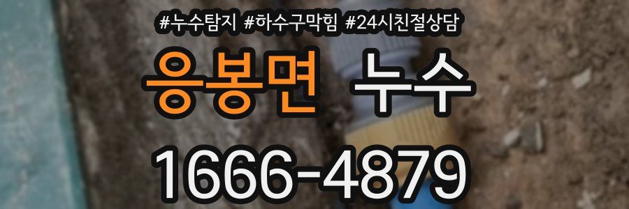 응봉면 누수