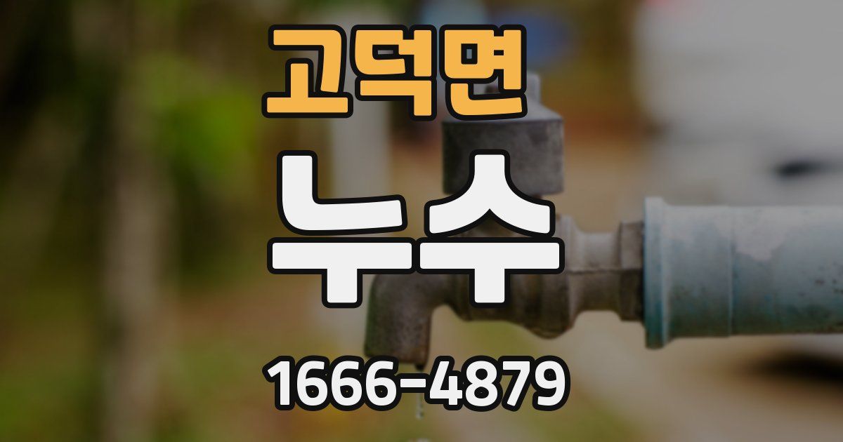 고덕면 누수