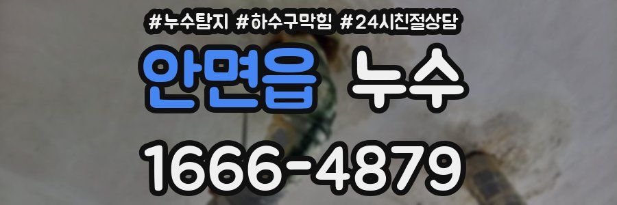 안면읍 누수
