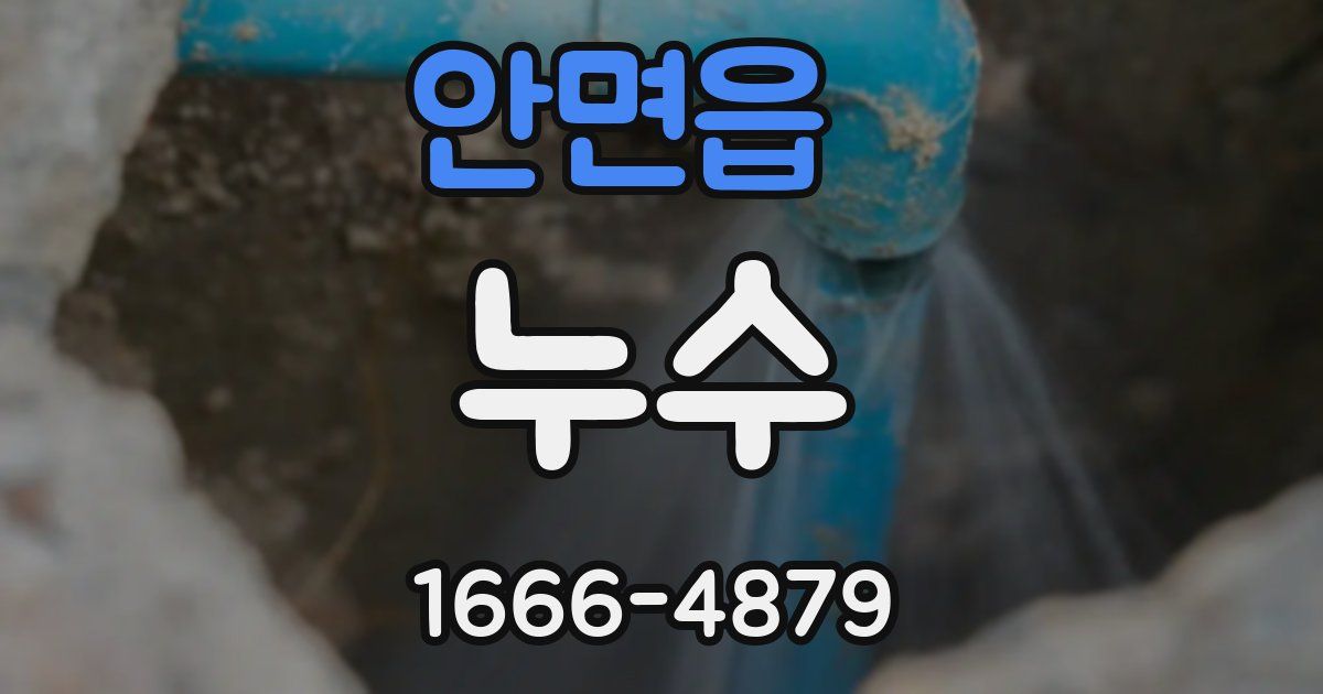 안면읍 누수