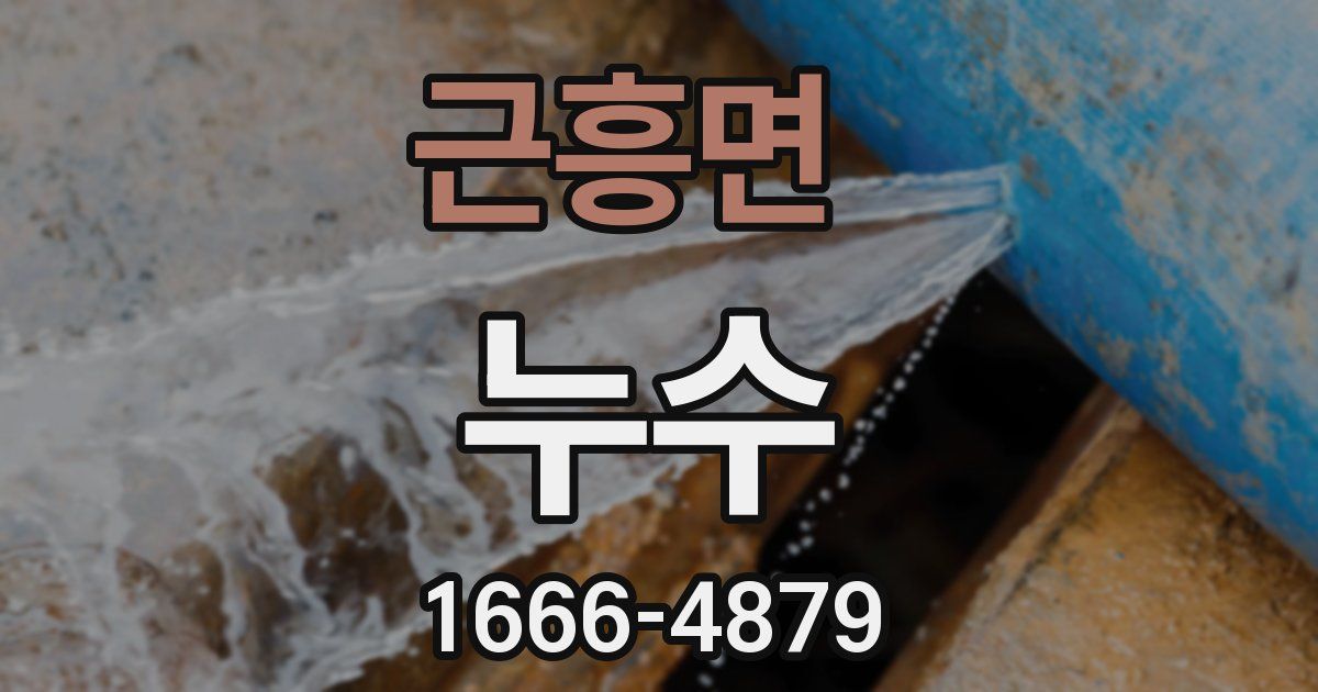 근흥면 누수