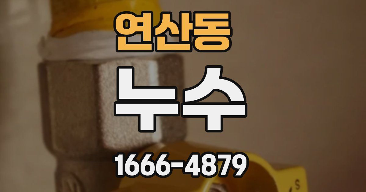 연산동 누수