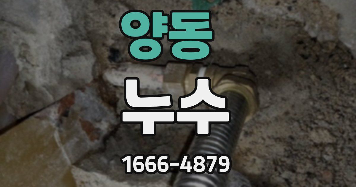 양동 누수
