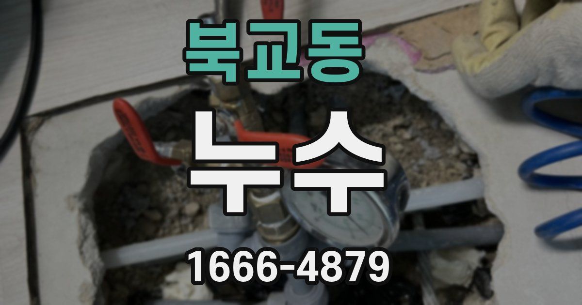 북교동 누수