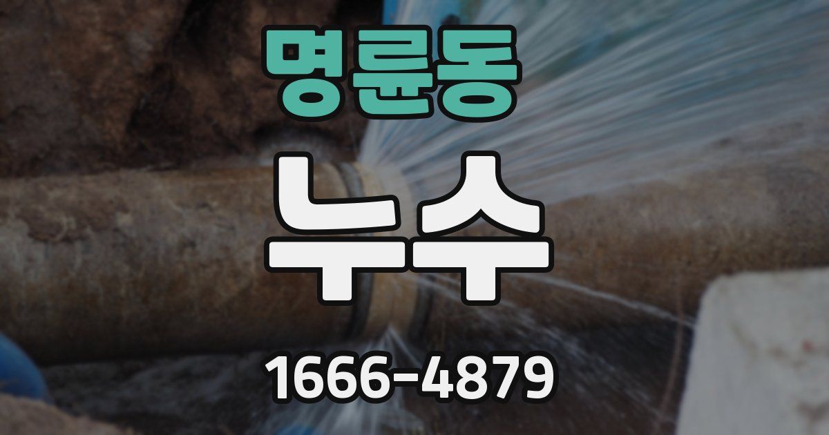 명륜동 누수