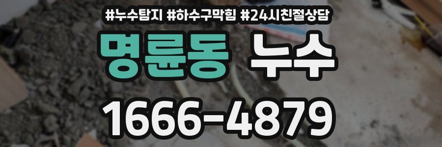 명륜동 누수