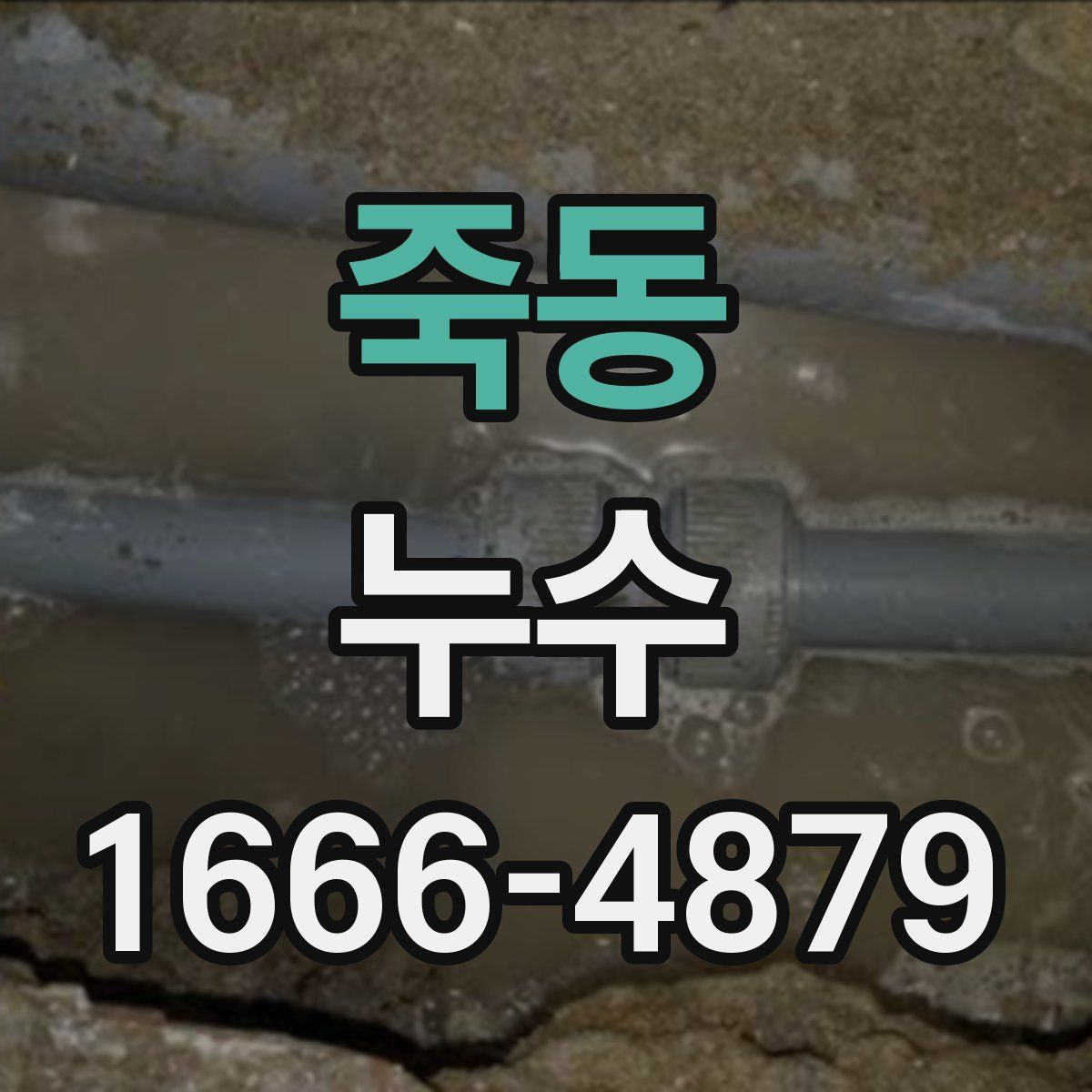 죽동 누수