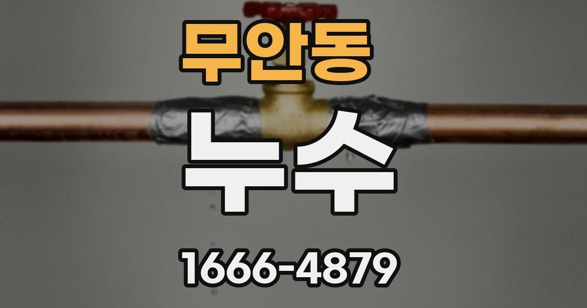 무안동 누수