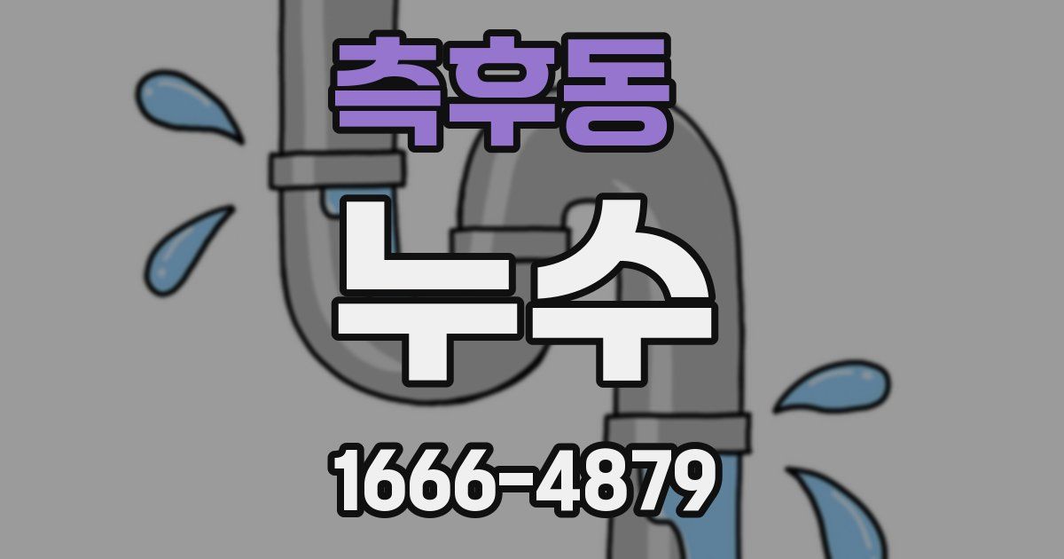 측후동 누수