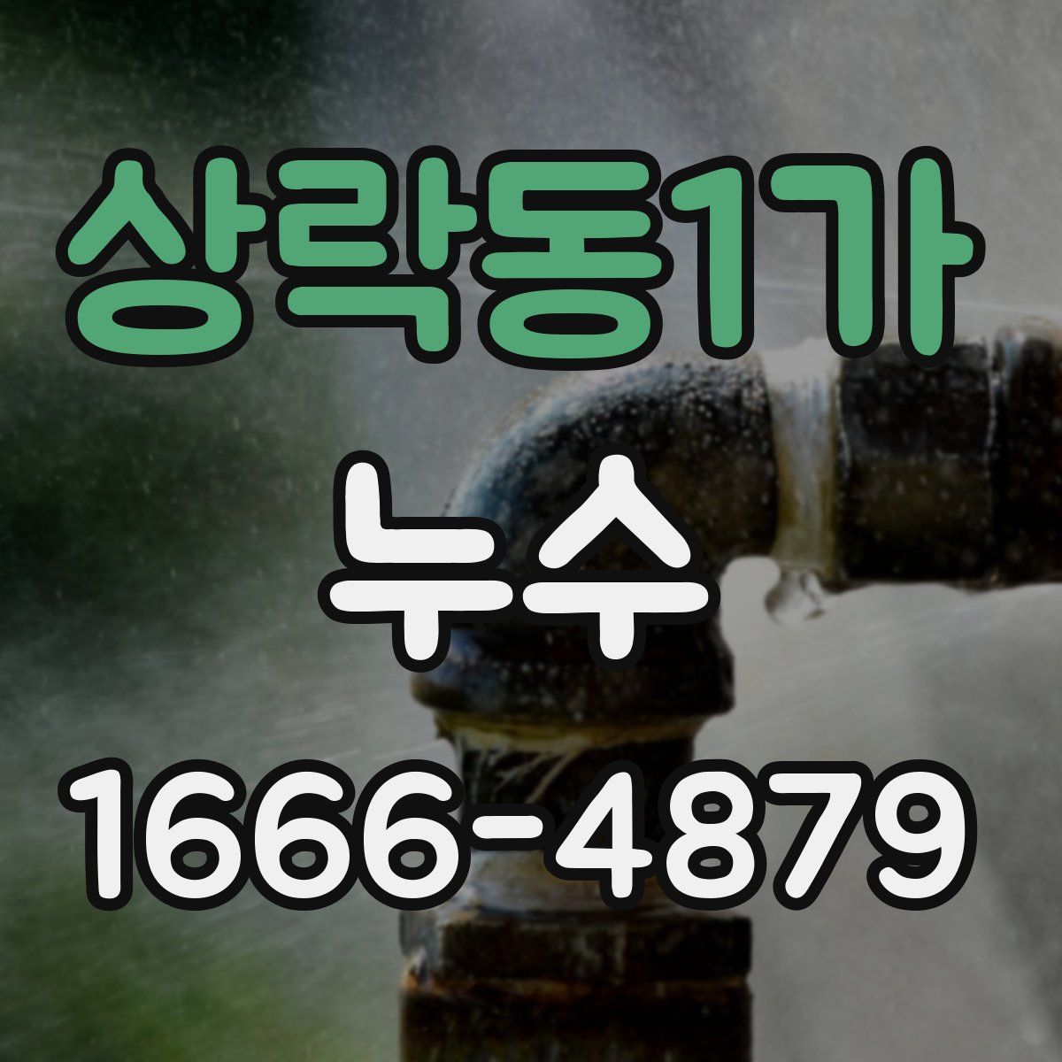 상락동1가 누수