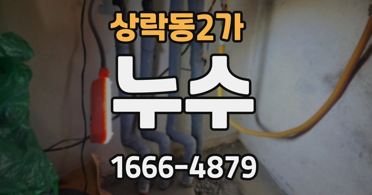 상락동2가 누수