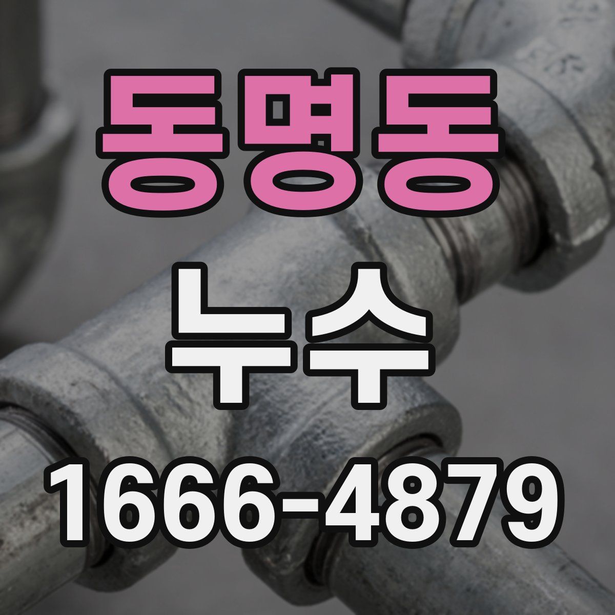 동명동 누수