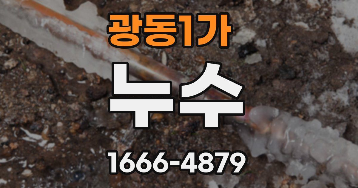 광동1가 누수