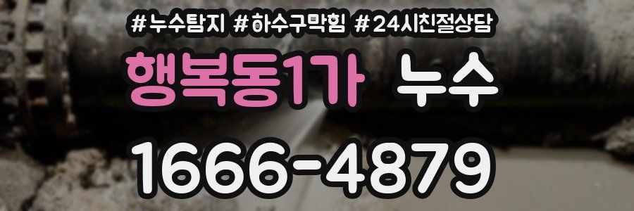 행복동1가 누수