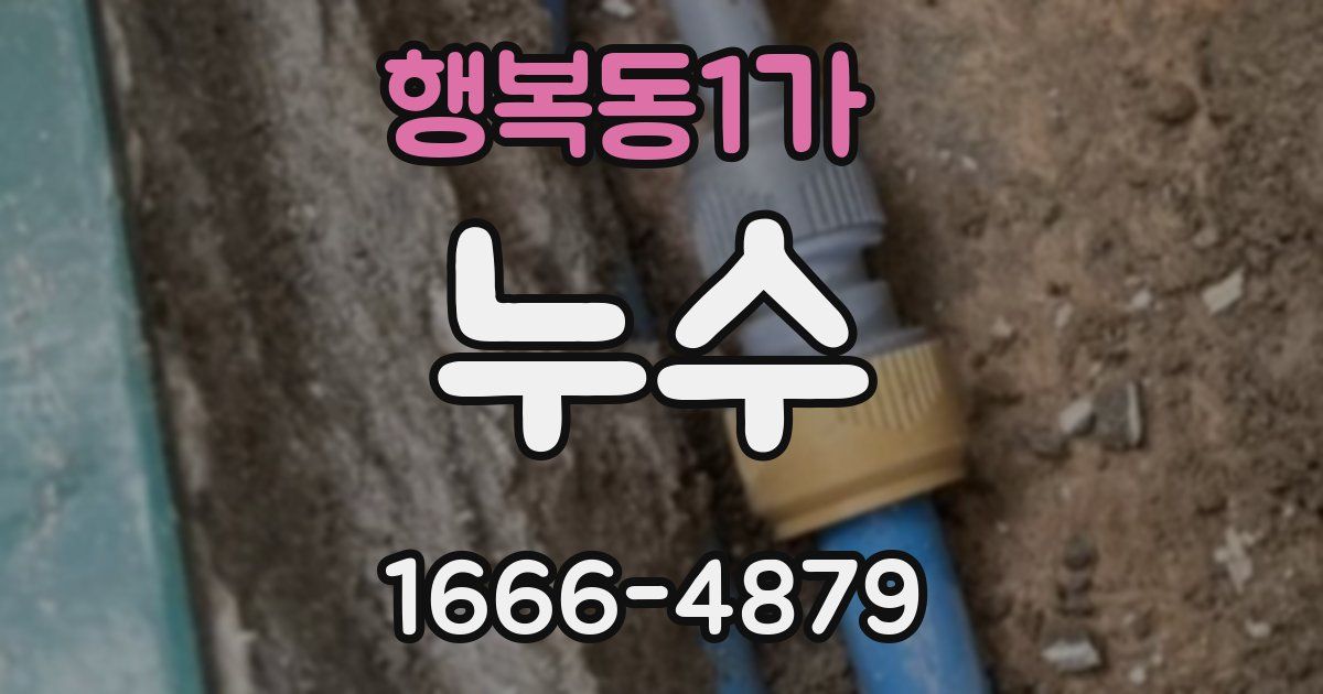 행복동1가 누수