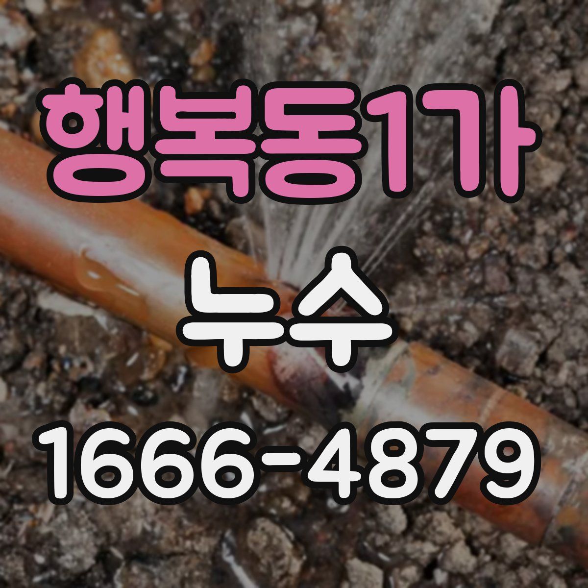 행복동1가 누수