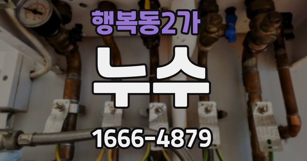 행복동2가 누수
