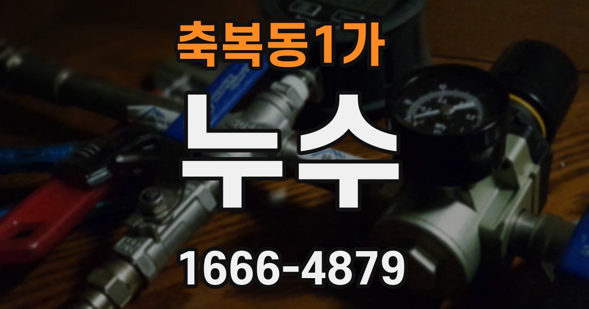 축복동1가 누수