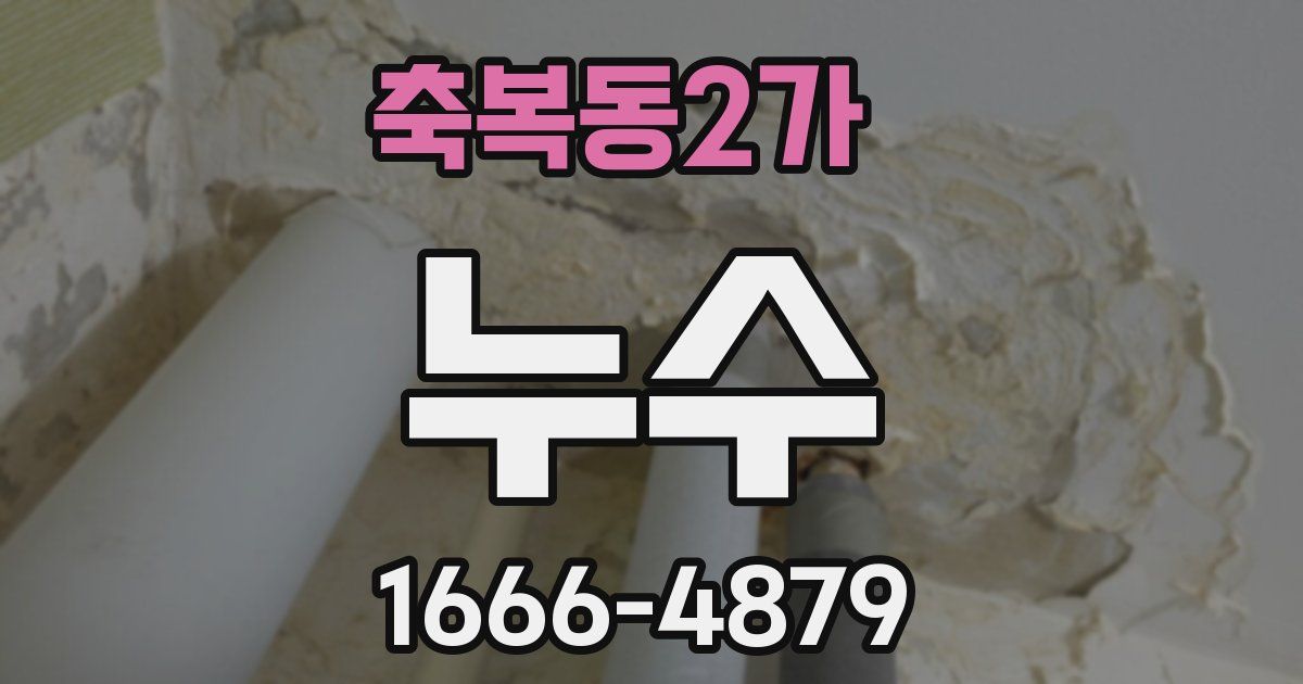 축복동2가 누수