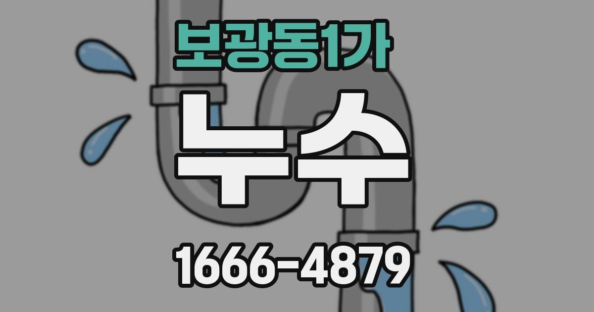 보광동1가 누수