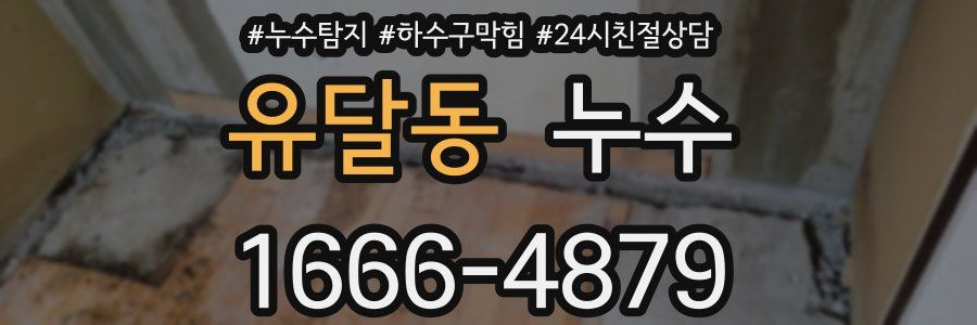 유달동 누수