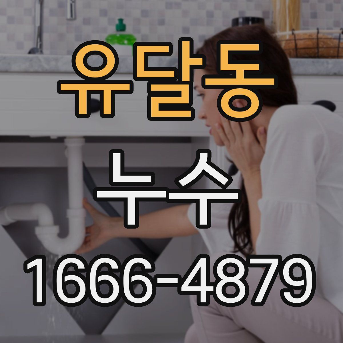 유달동 누수
