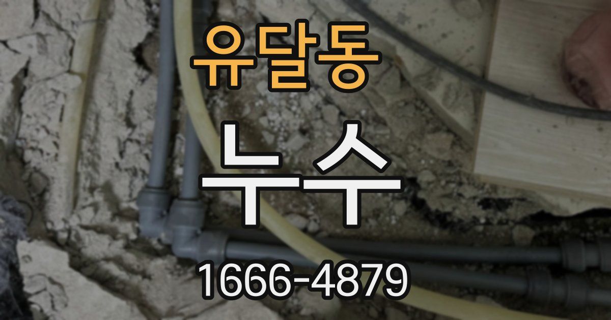유달동 누수