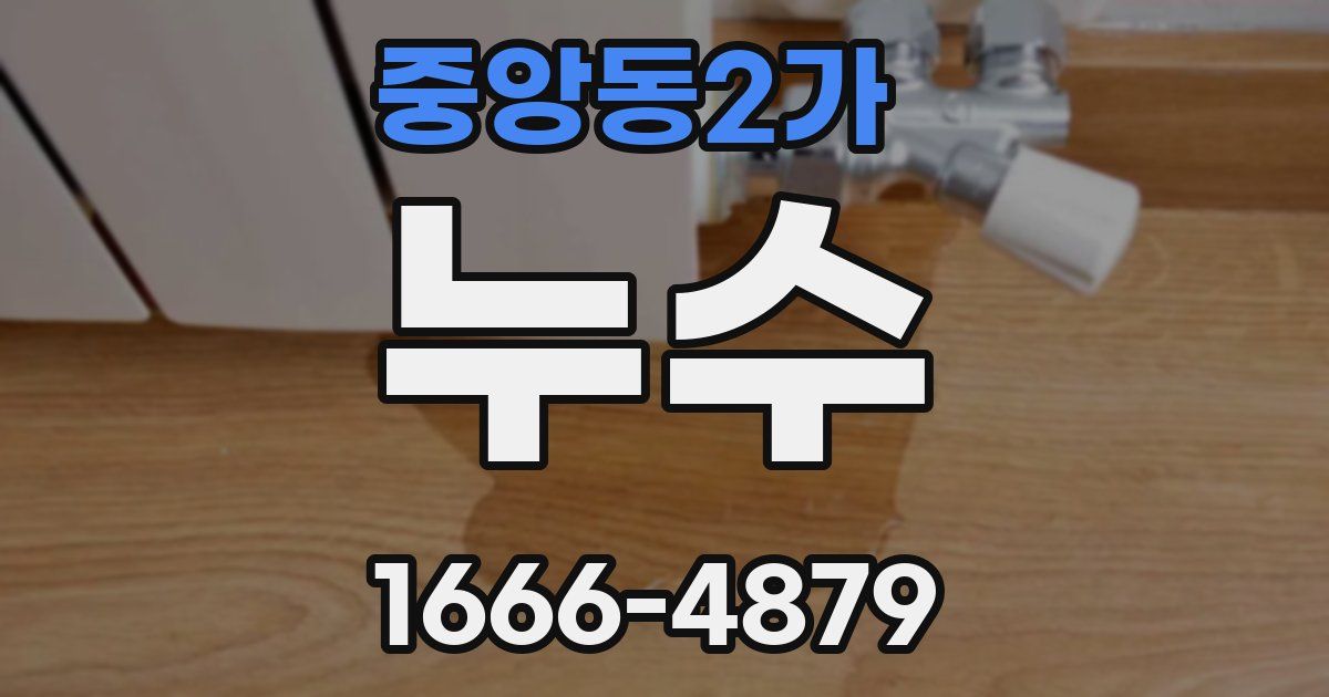 중앙동2가 누수