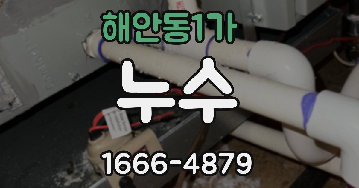 해안동1가 누수