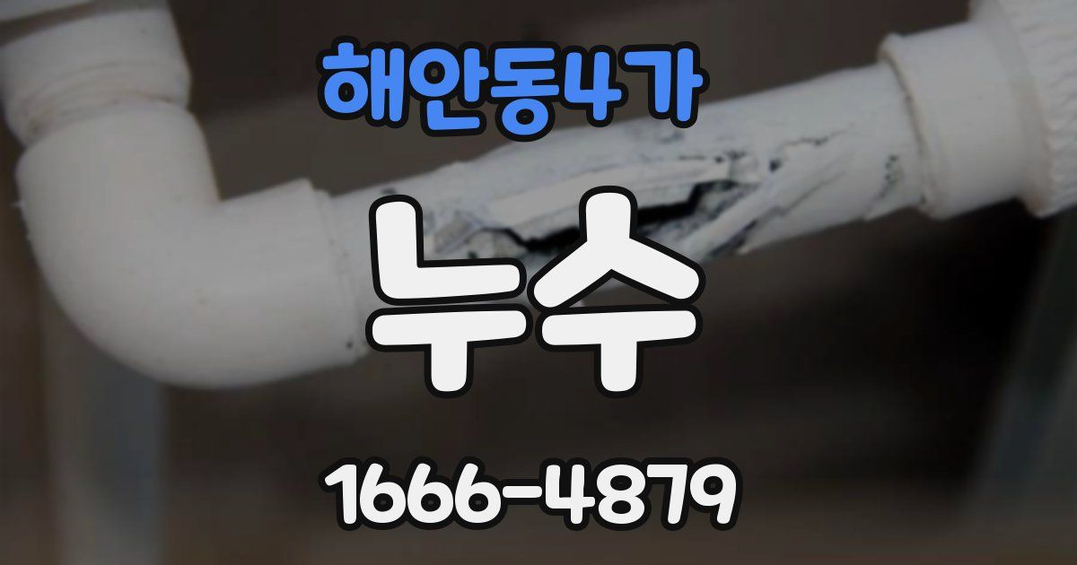 해안동4가 누수