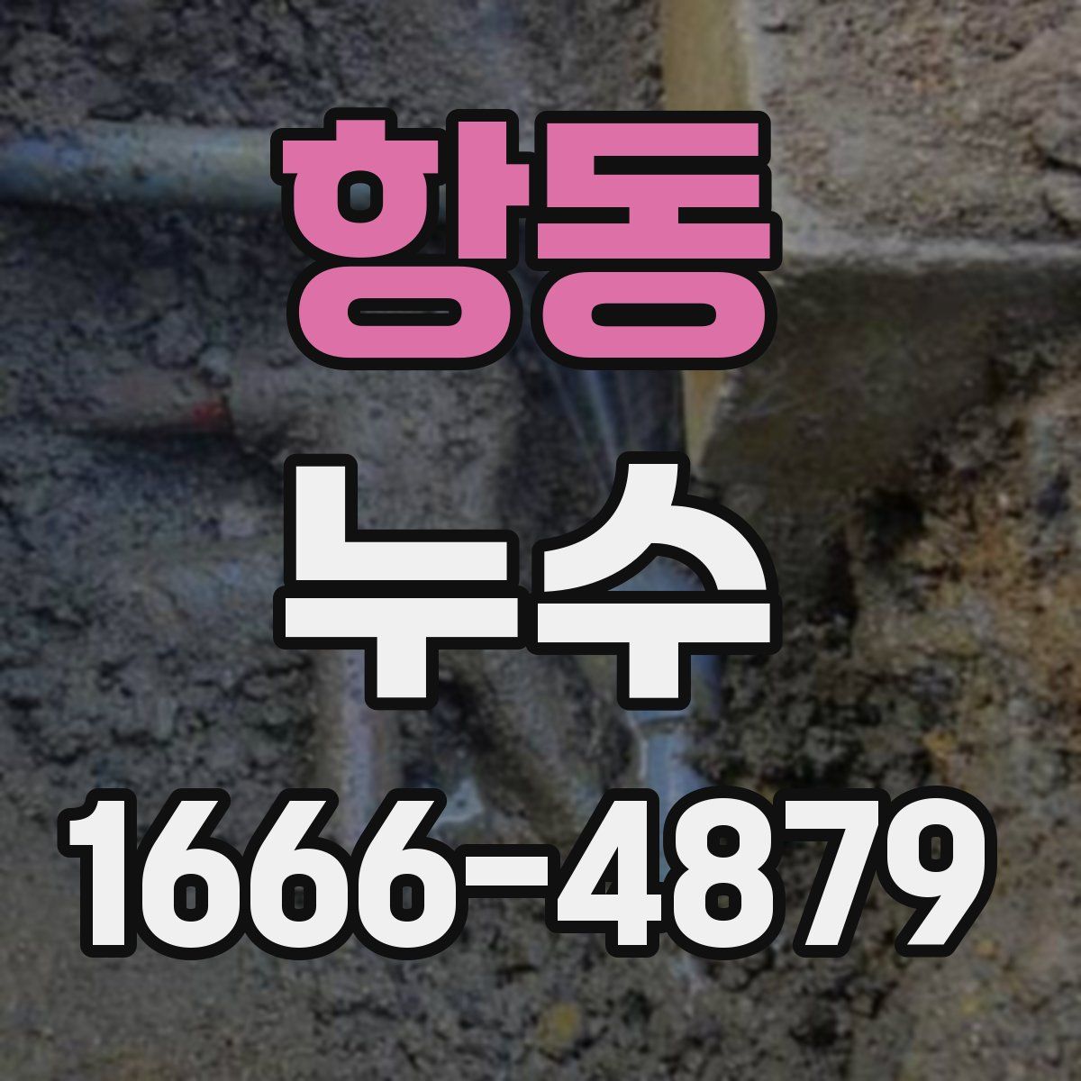항동 누수