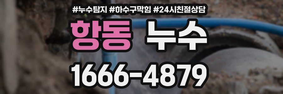 항동 누수