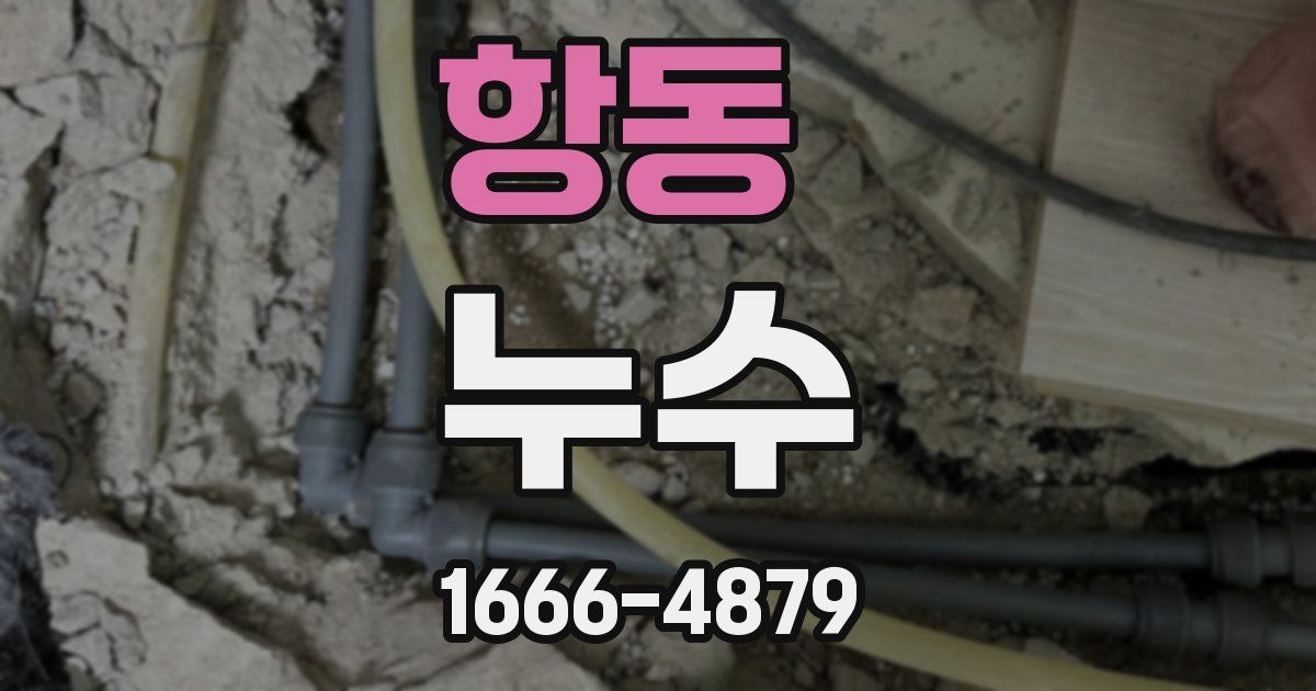 항동 누수