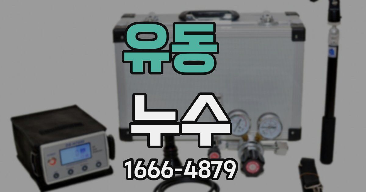 유동 누수