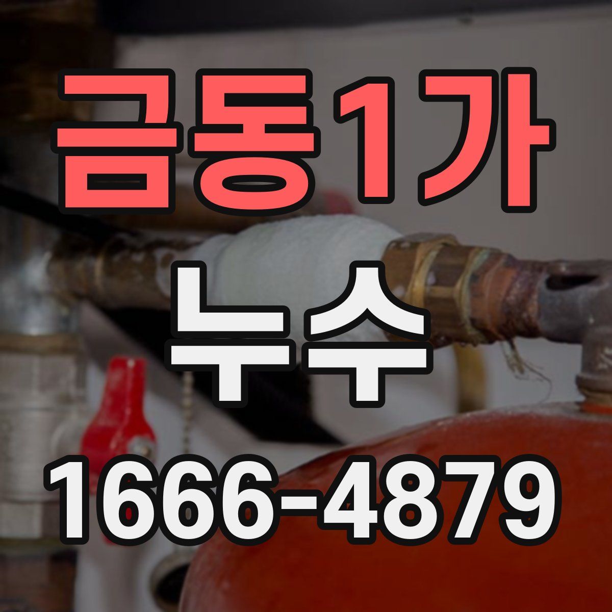 금동1가 누수