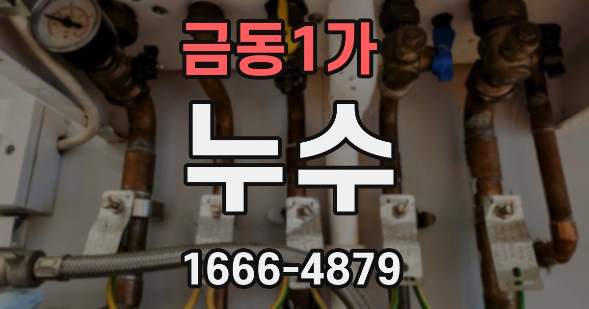 금동1가 누수