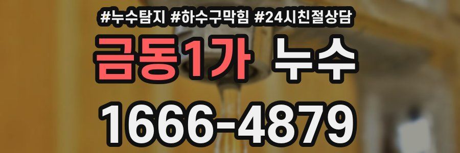 금동1가 누수