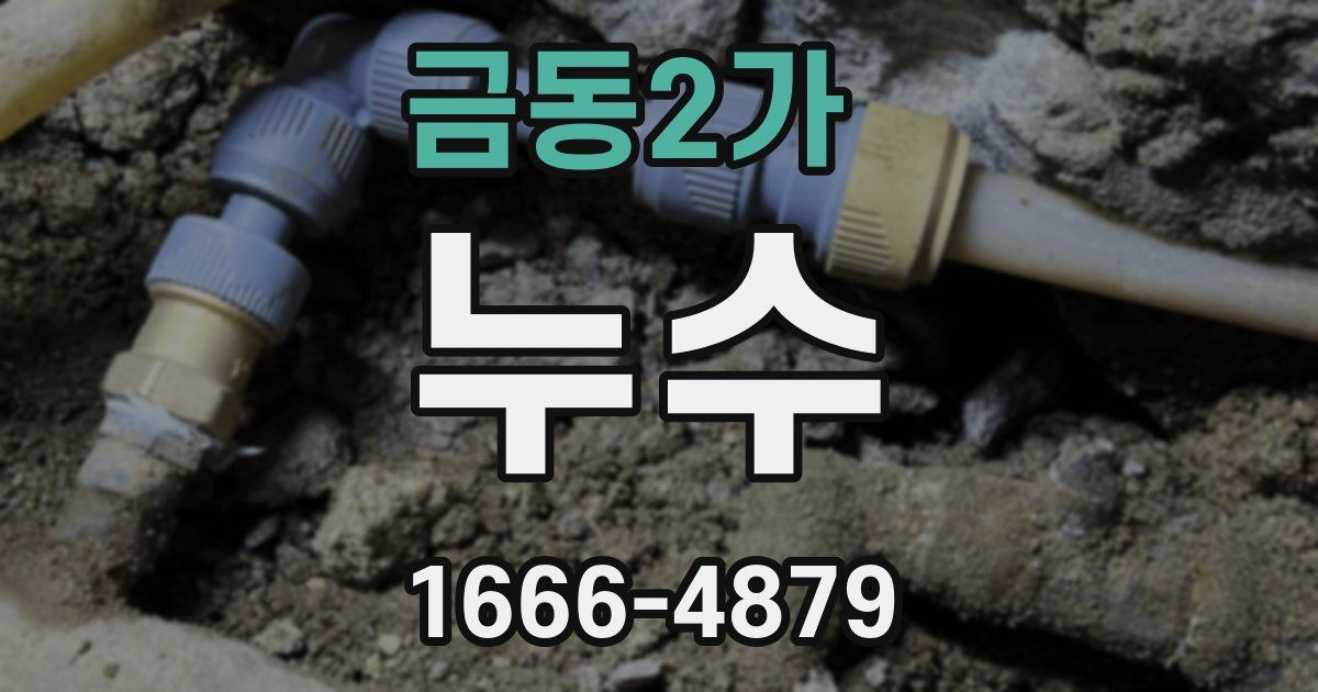 금동2가 누수