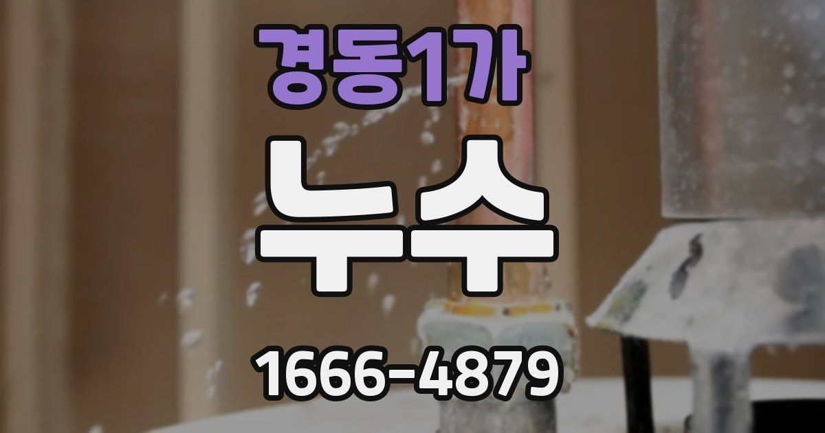 경동1가 누수