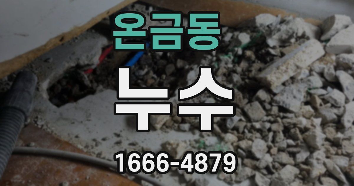 온금동 누수