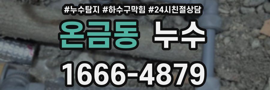 온금동 누수