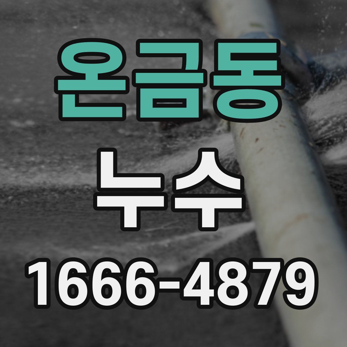 온금동 누수
