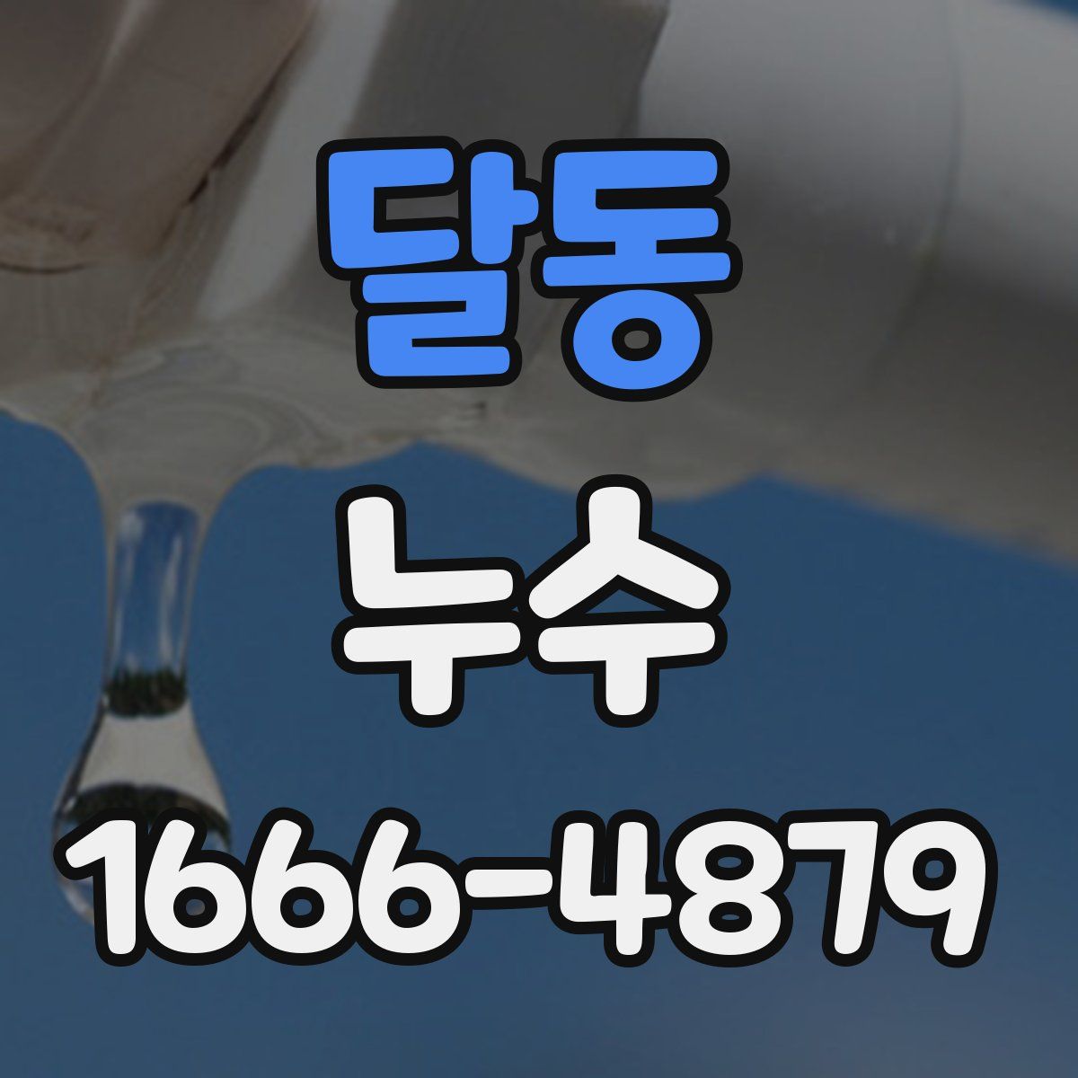 달동 누수